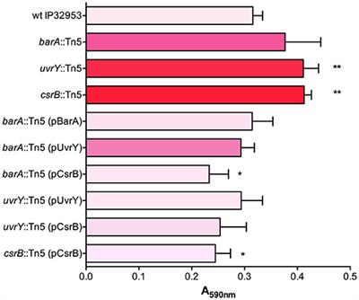 Yersinia pseudotuberculosis BarA-UvrY Two-Component Regulatory System Represses Biofilms via CsrB